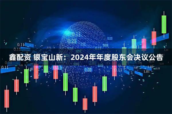 鑫配资 银宝山新：2024年年度股东会决议公告