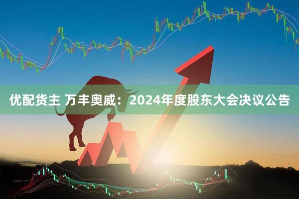 优配货主 万丰奥威：2024年度股东大会决议公告