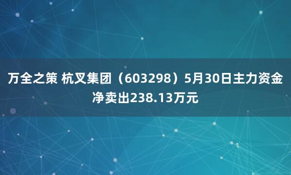 万全之策 杭叉集团（603298）5月30日主力资金净卖出238.13万元
