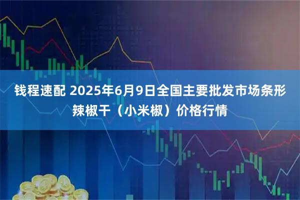 钱程速配 2025年6月9日全国主要批发市场条形辣椒干（小米椒）价格行情
